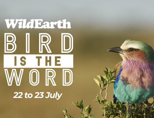 Bird is the Word with Birdlife South Africa 2022!